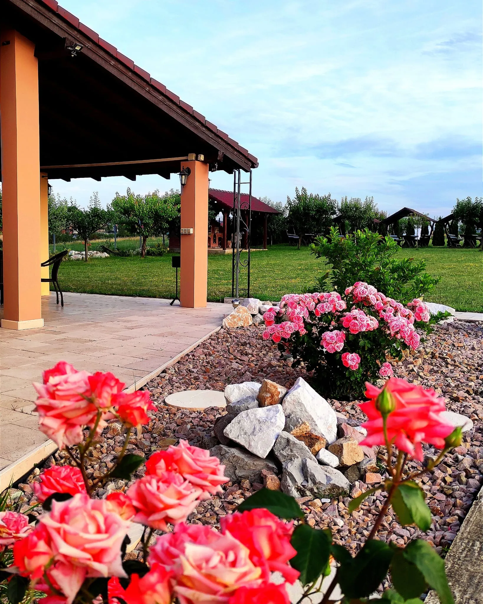 Pink roses in the guest house garden, with a pavilion and fields behind